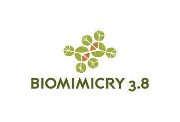 Biomimicry 3.8